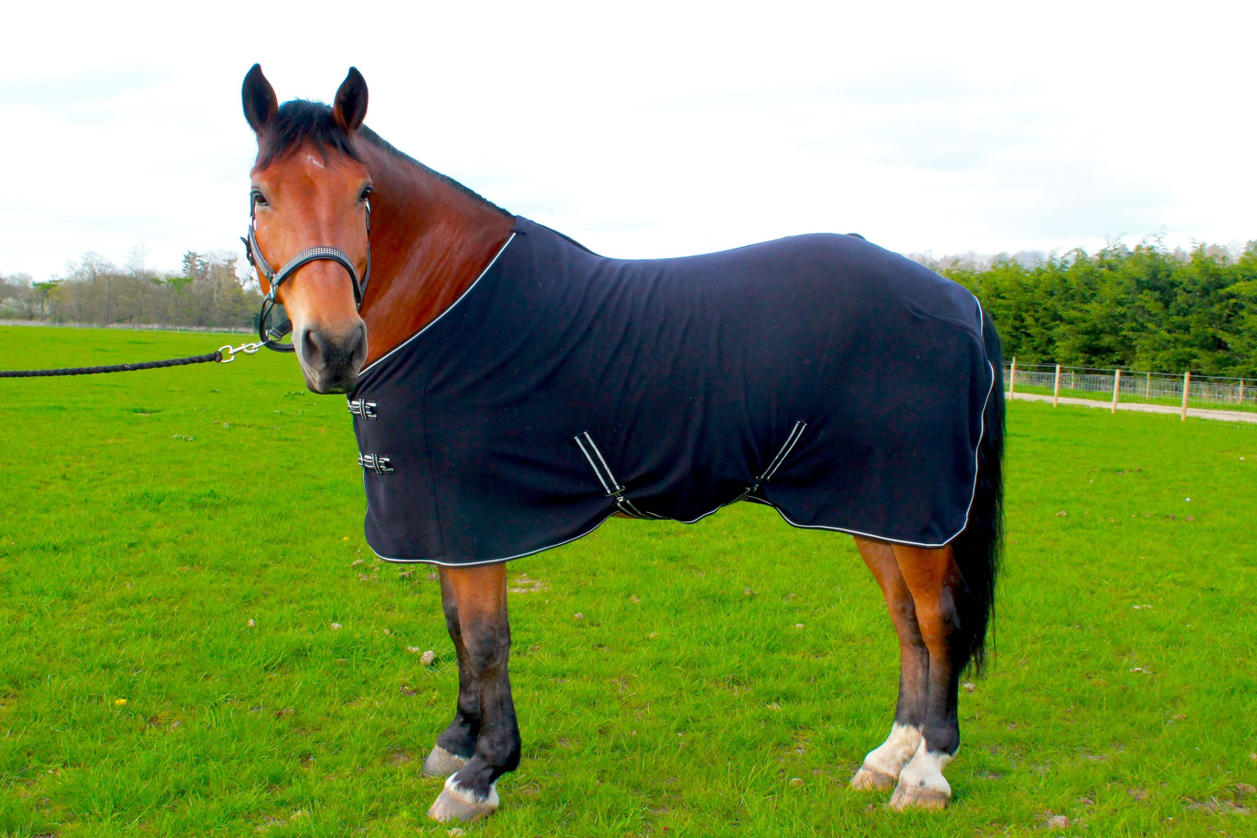 FLEECE RUG ALL SIZES VARIOUS COLOURS PONY COB HORSE SHOW TRAVEL STABLE