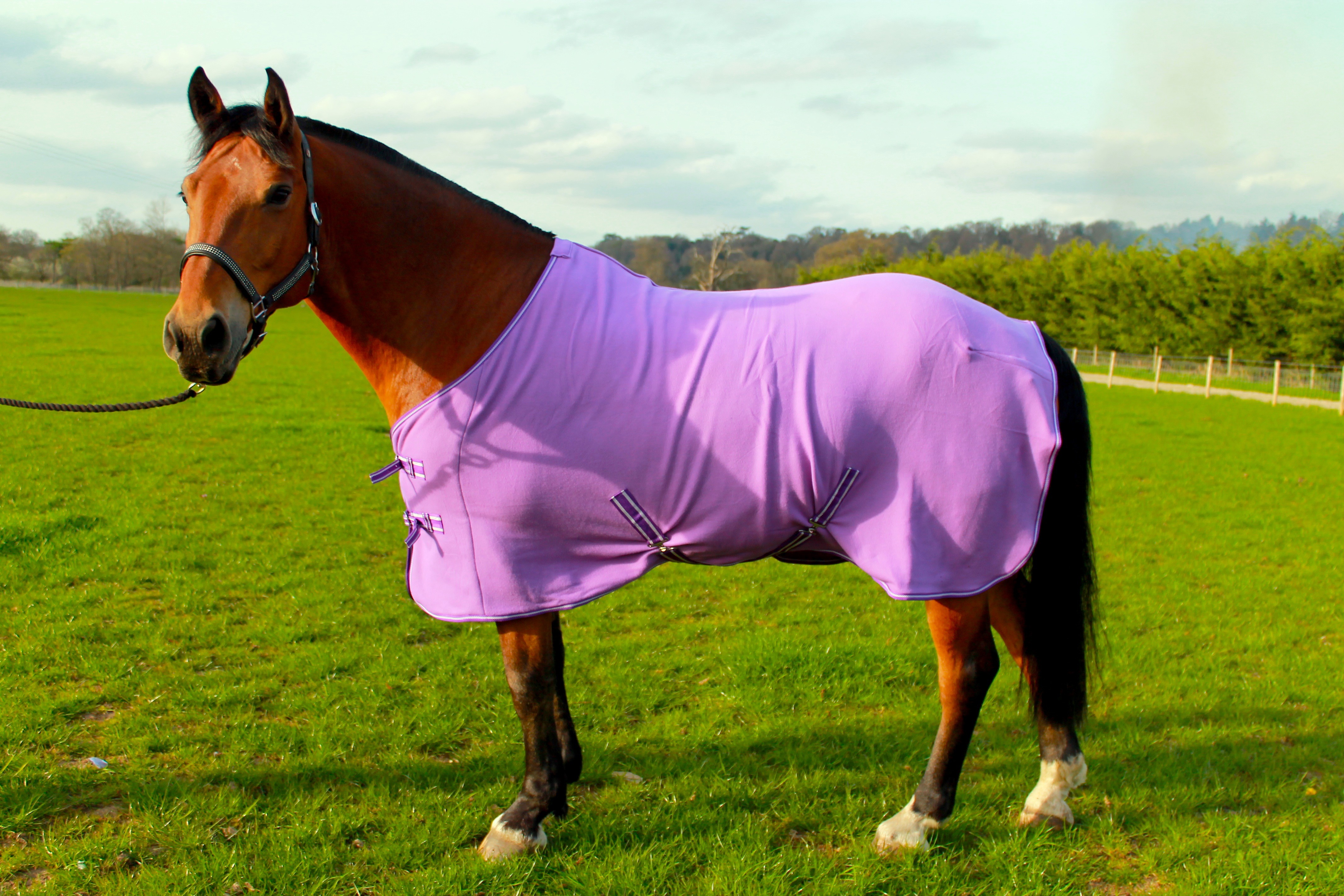 HORSE COB PONY SHOW TRAVEL FLEECE RUG 5'07'0" stable cooler choice of
