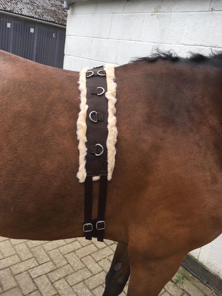 Cwell Equine Synthetic Fleece PAD LUNGE BREAKING TRAINING ROLLER