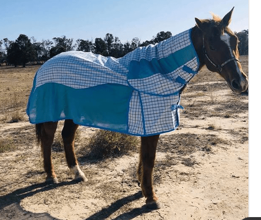 Cwell Equine Horse Cob Pony Fly Rugs PINK/ZEBRA/TURQUOISE Hybrid Mesh Poly Cotton Combo Rugs 5'9, Pink
