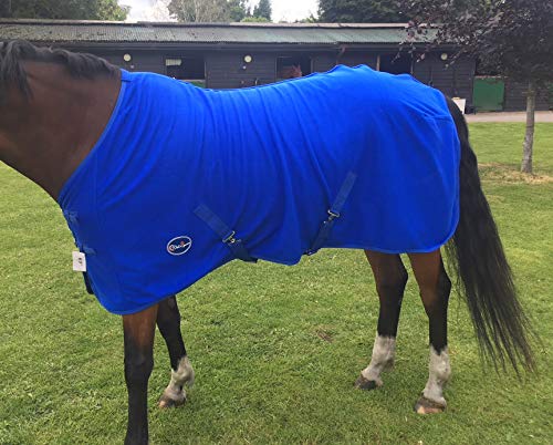 Swish Equestrian Fleece Horse Rug/Horse Fleece Travel Cooler Rug Royal Blue